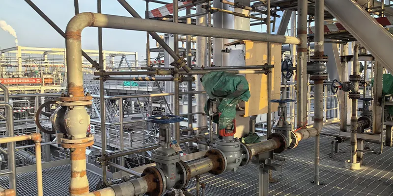 Petrokimya Fırın Borularında Paslanmaz Çelik 310S: 1100 derece Hizmet için Ta...